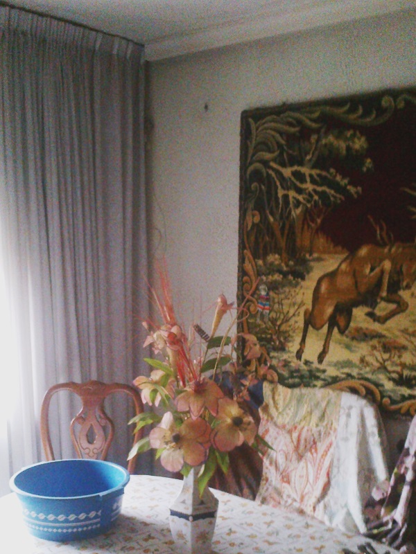 Aspecto del salón comedor antes de la reforma